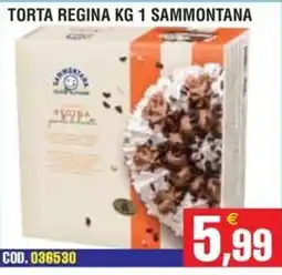 Immenso Cash Torta Regina Sammontana offerta