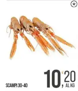Cash pro Scampi 30-40 offerta