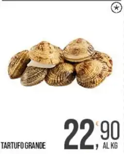 Cash pro Tartufo grande offerta