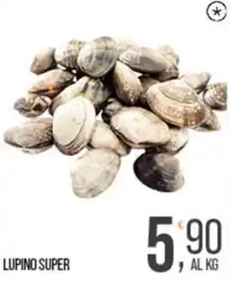 Cash pro Lupino Super offerta