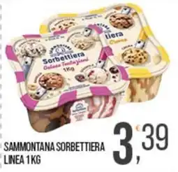 Cash pro Sammontana sorbettiera offerta