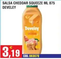 Immenso Cash Salsa cheddar Develey offerta