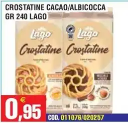 Immenso Cash Crostatine Cacao/Albicocca Lago offerta