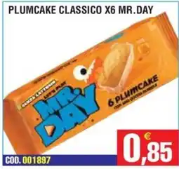 Immenso Cash Plumcake classico Mr. Day offerta