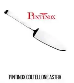 Cash pro Pintinox coltellone astra offerta