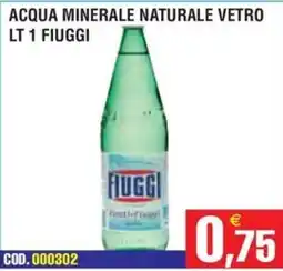 Immenso Cash Acqua minerale naturale vetro Fiuggi offerta