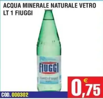 Acqua minerale naturale vetro Fiuggi
