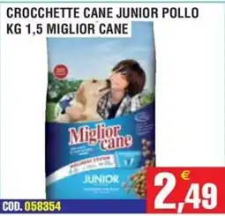 Immenso Cash Crocchette cane junior pollo Miglior cane offerta
