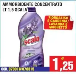 Immenso Cash Ammorbidente concentrato Scala offerta
