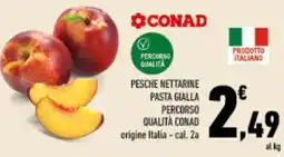 Conad City Pesche nettarine pasta gialla offerta