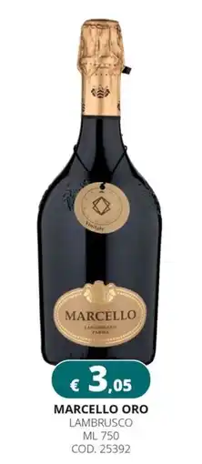 Altasfera Marcello Oro Lambrusco offerta
