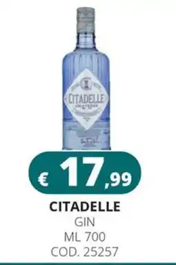 Altasfera Citadelle Gin offerta