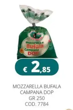 Altasfera Mozzarella di Bufala Campana DOP offerta