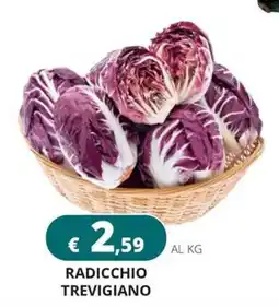 Altasfera Radicchio Trevigiano offerta
