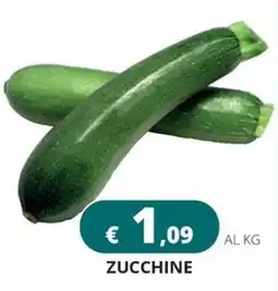 Altasfera Zucchine offerta