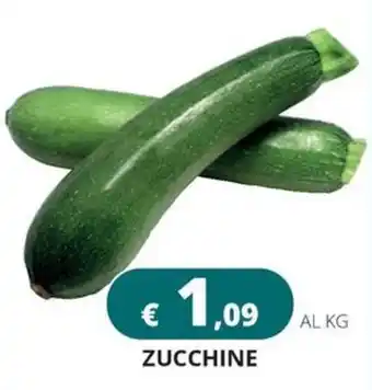 Altasfera Zucchine offerta