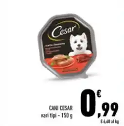 Conad City Cani Cesar offerta