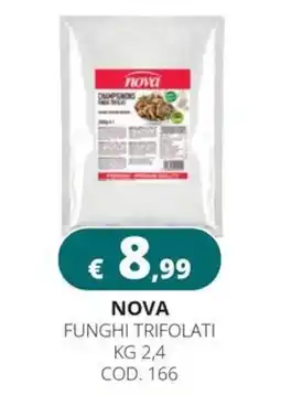 Altasfera Nova funghi trifolati offerta