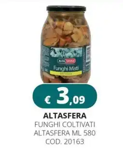 Altasfera Funghi Misti Alta Sfera offerta