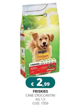 Altasfera Friskies cane croccantini offerta