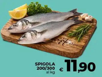 Spigola