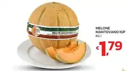 Ok Market Melone Mantovano IGP offerta