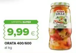 Oasi Sottoli Sacla offerta