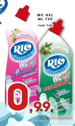 Ferdico Rio Azzurro WC Gel offerta