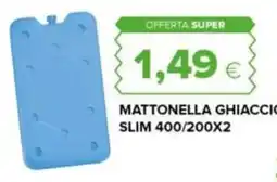 Oasi Mattonella ghiaccio slim offerta