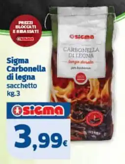 Sigma Sigma Carbonella di legna offerta