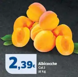 Sigma Albicocche offerta