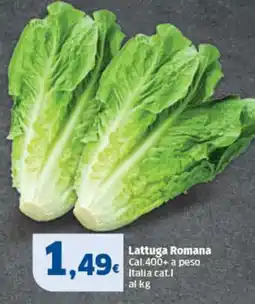 Sigma Lattuga Romana offerta