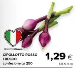 Oasi Cipollotto rosso fresco offerta