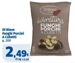 Sigma Di Biase Funghi Porcini A Cubetti offerta