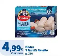 Sigma Findus 5 Fiori Di Nasello offerta