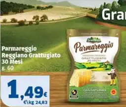 Sigma Parmareggio Reggiano Grattugiato offerta