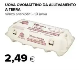 Oasi Uova ovomattino da allevamento a terra offerta
