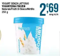 Sidis Yogurteria Frozen Naturale offerta