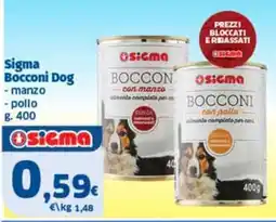 Sigma Sigma Bocconi Dog offerta
