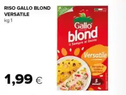 Oasi Gallo blond Versatile offerta