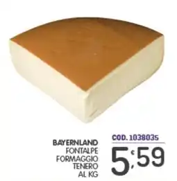 Eurocash Bayernland Fontalpe Formaggio tenero offerta