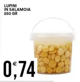 Vantaggio Cash&Carry Lupini in salamoia offerta