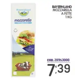 Eurocash Bayermland mozzarella offerta