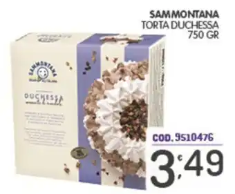 Eurocash Sammontana torta duchessa offerta