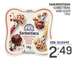 Eurocash Sammontana Sorbettiera vari gusti offerta