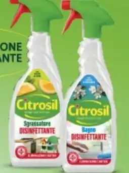 Euroesse Citrosil Sgrassatore Disinfettante offerta