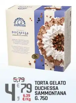 A&O Torta gelato Duchessa Sammontana offerta