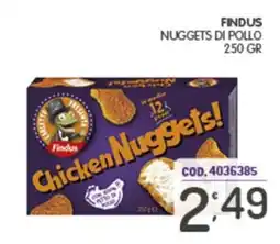 Eurocash Chicken Nuggets! Findus offerta