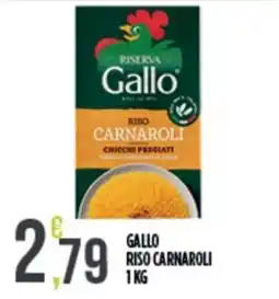 Euroesse Gallo riso carnaroli offerta