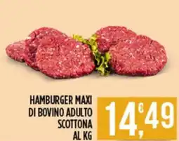 Netto Supermercati Hamburger maxi di bovino adulto scottona offerta